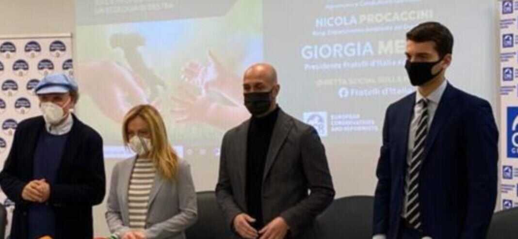 Conferenza stampa FdI 