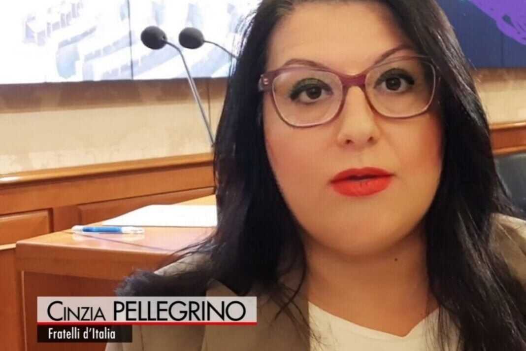Cinzia Pellegrino, Coordinatore nazionale del dipartimento tutela vittime di Fratelli d'Italia.